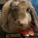 soccerkip
