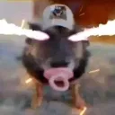 dexmo