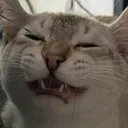 megouuuxo