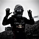 avatar Dark_Wolf ᵀᴬᵂᴷ