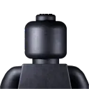 h0ag