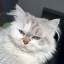 ghxstying