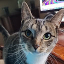 Discord Avatar