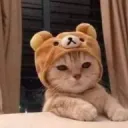 oscarq.ggeu