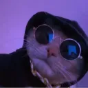 _vbz_