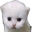 tiggytigo