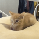 avatar 𝖺𝗄𝖾𝗆𝗂