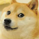 piesowaty1221