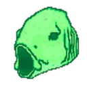 raw_fi5h