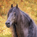 avatar Nyx Goddess Of Night