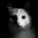 avatar garbuglio