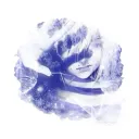 jenhaise