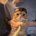 xzekyz