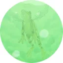 mikawayafrog