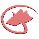teamcrowgo