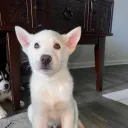 r0r0r0r0