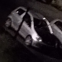 avatar WHAT.AM.I.DOING?!!