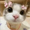 gazingnicole
