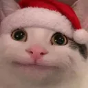catmeowmeow_