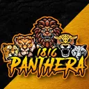panthera1816
