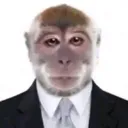 vikoey