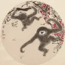senseicheese avatar