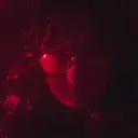identitychrisis