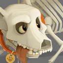 _skeledog