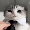 veryskilledgamer