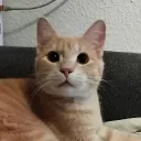 theunknownfromalabama