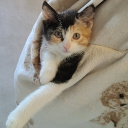 avatar ˒˓Paddy˒˓