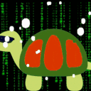 turtle1504