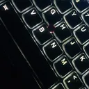 dnarikzh21