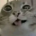 m4tk3