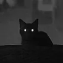nikkochico