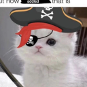 avatar Pirate