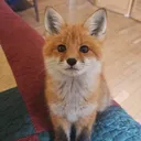 frostyownsyou