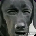 bruhjarvis