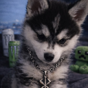Discord Avatar