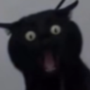 avatar Mxrvin