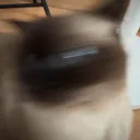 khotwang