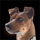 alphaperry