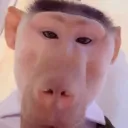 blukfvv
