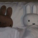 avatar shanna Ი𐑼