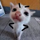 .xvjie