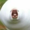 keyshui