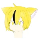 toraneko_desu