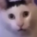 joshchen88818's Avatar