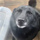 domikby