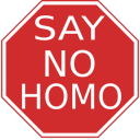 No Homo Bot